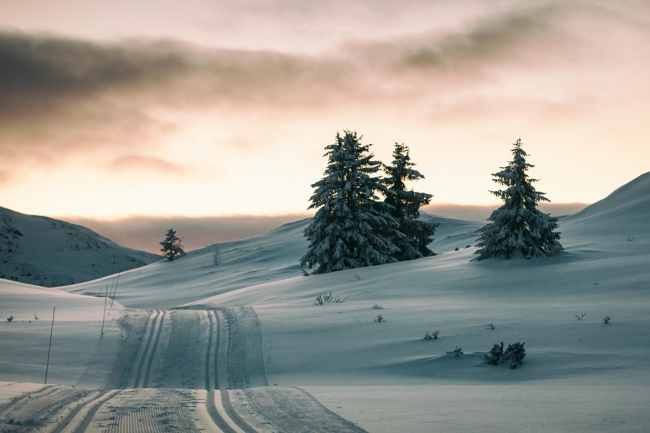 Rondane Hytter Og Leiligheter Otta Εξωτερικό φωτογραφία